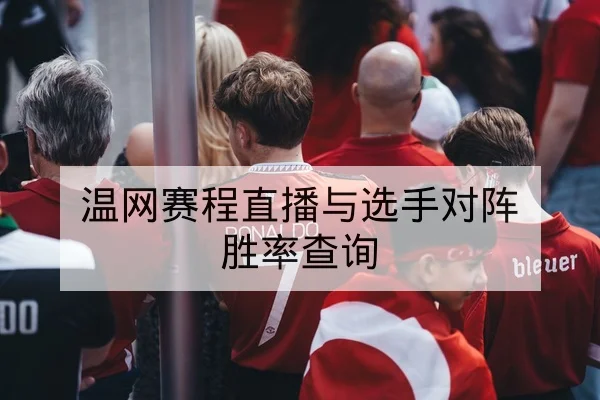 网球大满贯关键分数据与发球破发率实时统计 - leyu